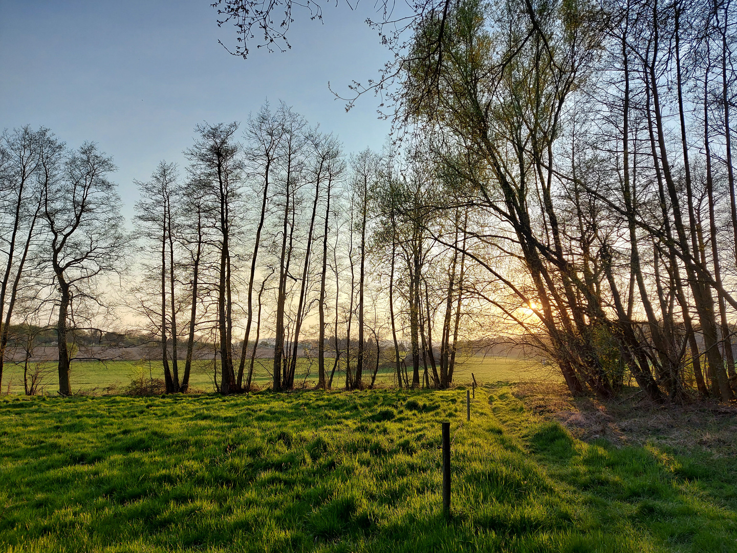 Sonnenuntergang I