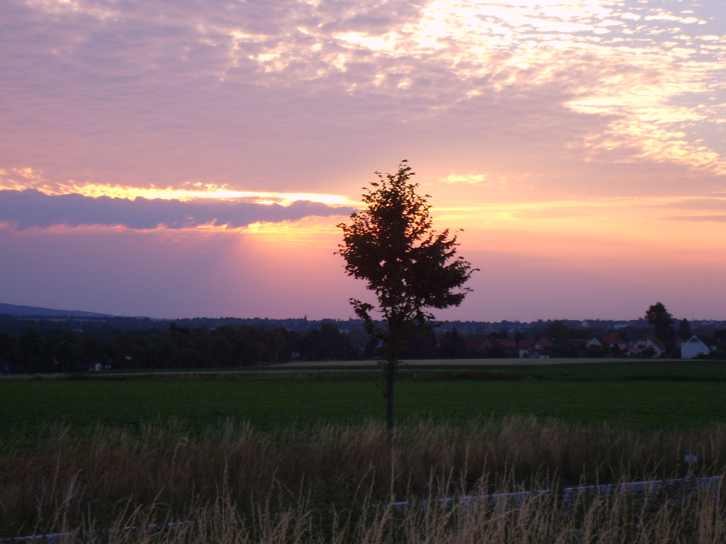 Sonnenuntergang I