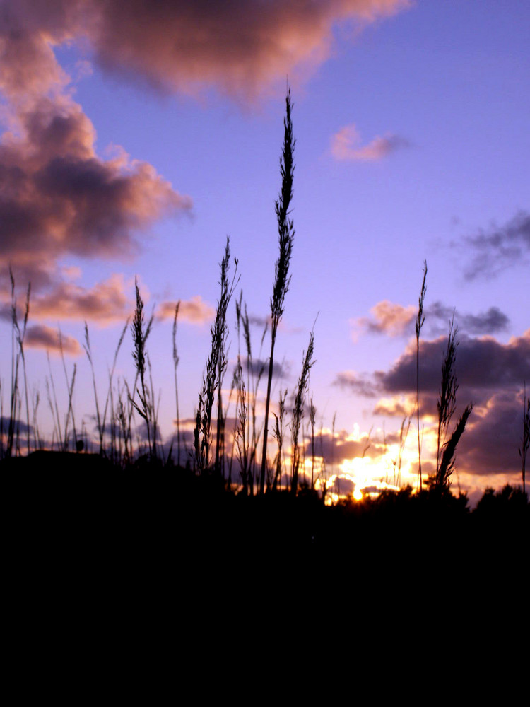 Sonnenuntergang I