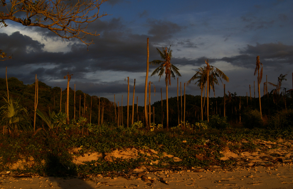 Sonnenuntergang I