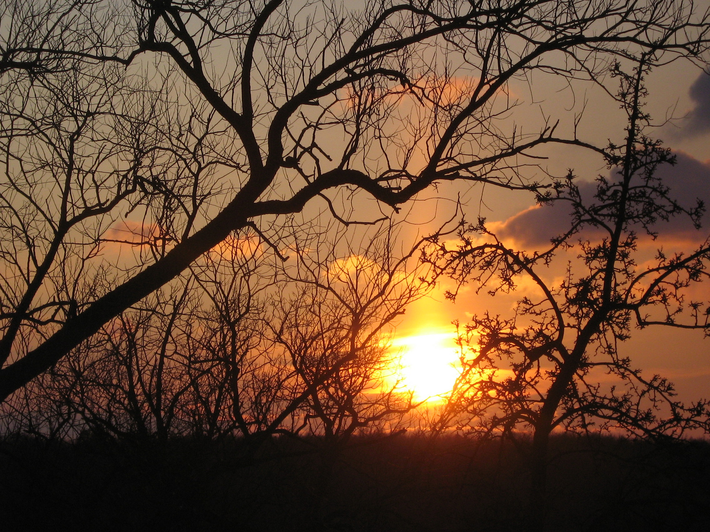 sonnenuntergang II