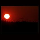 - Sonnenuntergang II -