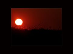 - Sonnenuntergang II -