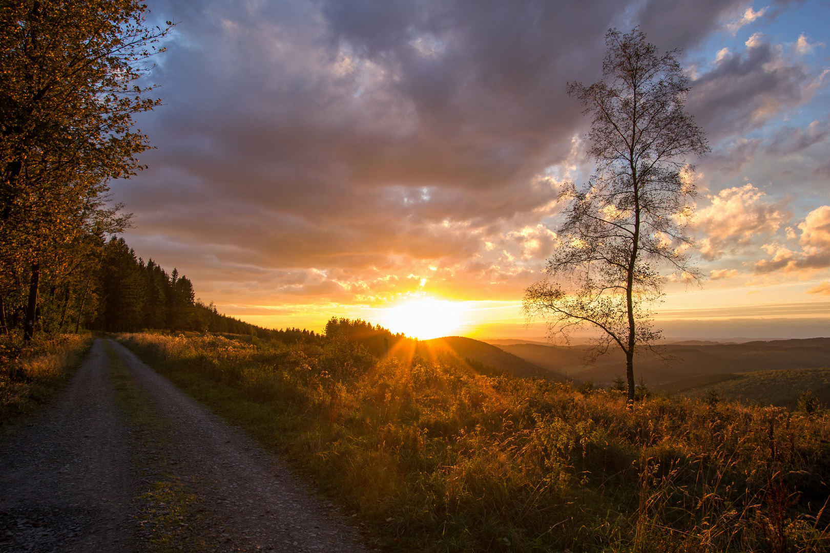 Sonnenuntergang II