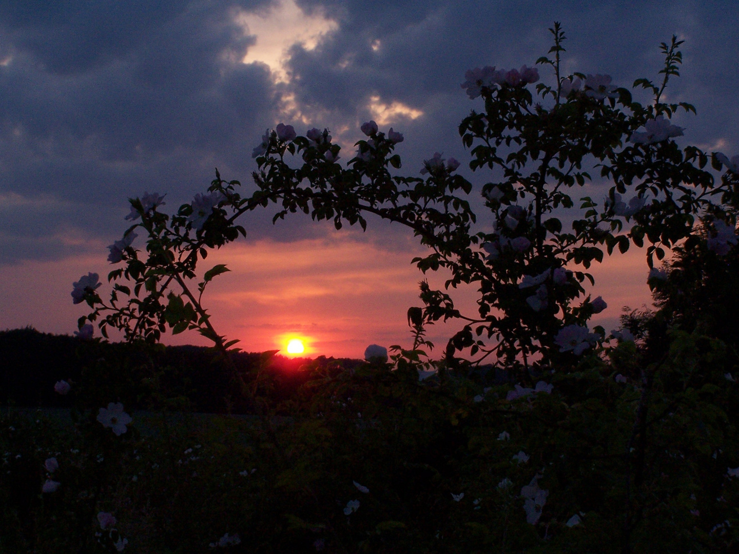 Sonnenuntergang II