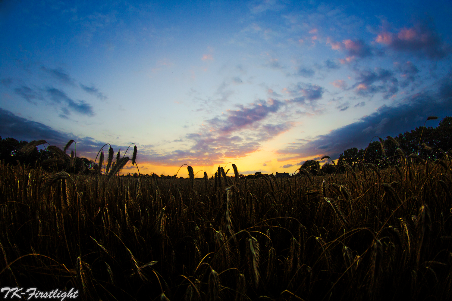 Sonnenuntergang im Acker