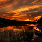 Sonnenuntergang im Algonquin Provincial Park