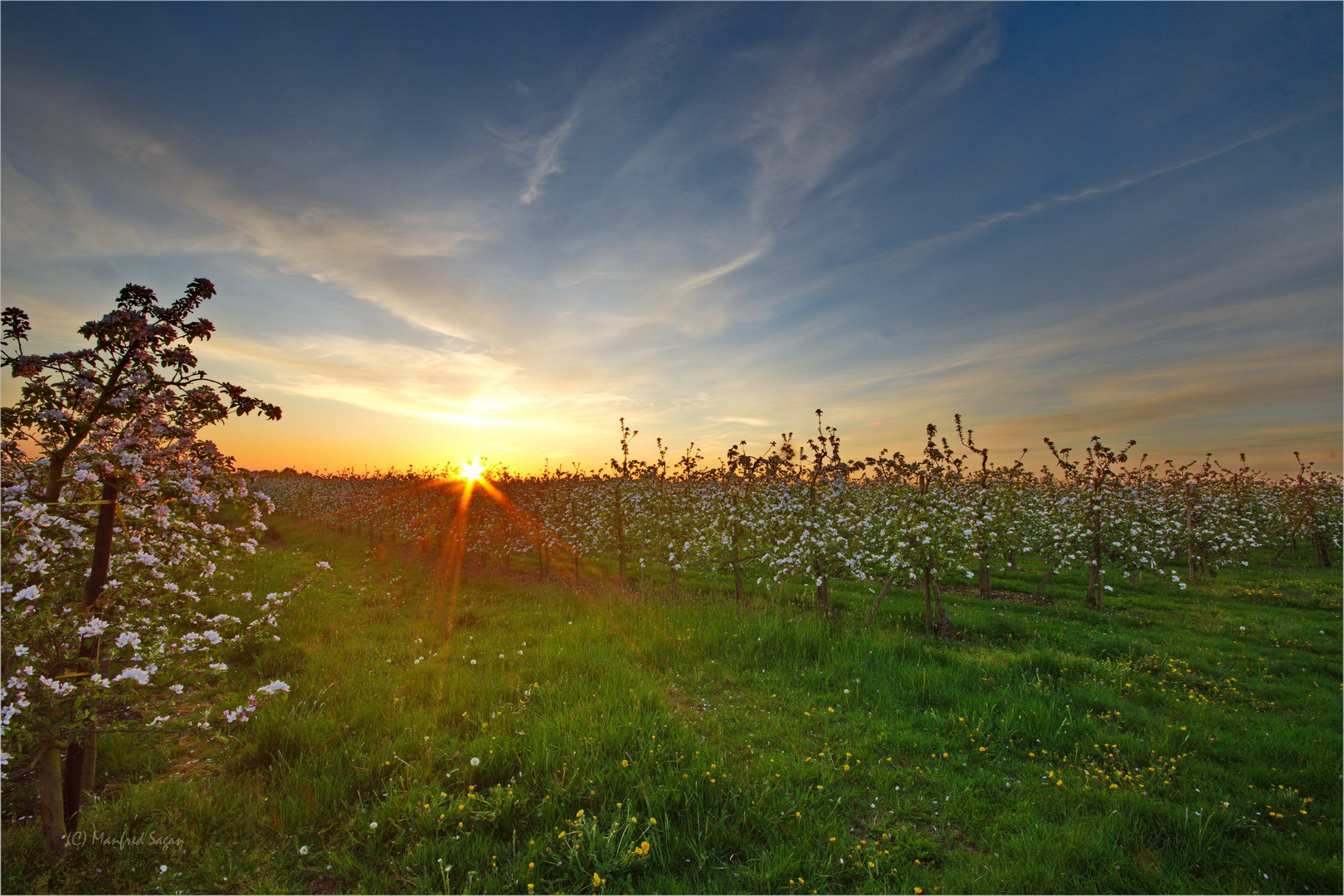 Sonnenuntergang im Alten Land