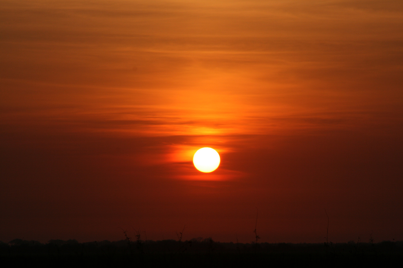 Sonnenuntergang im Amazonas