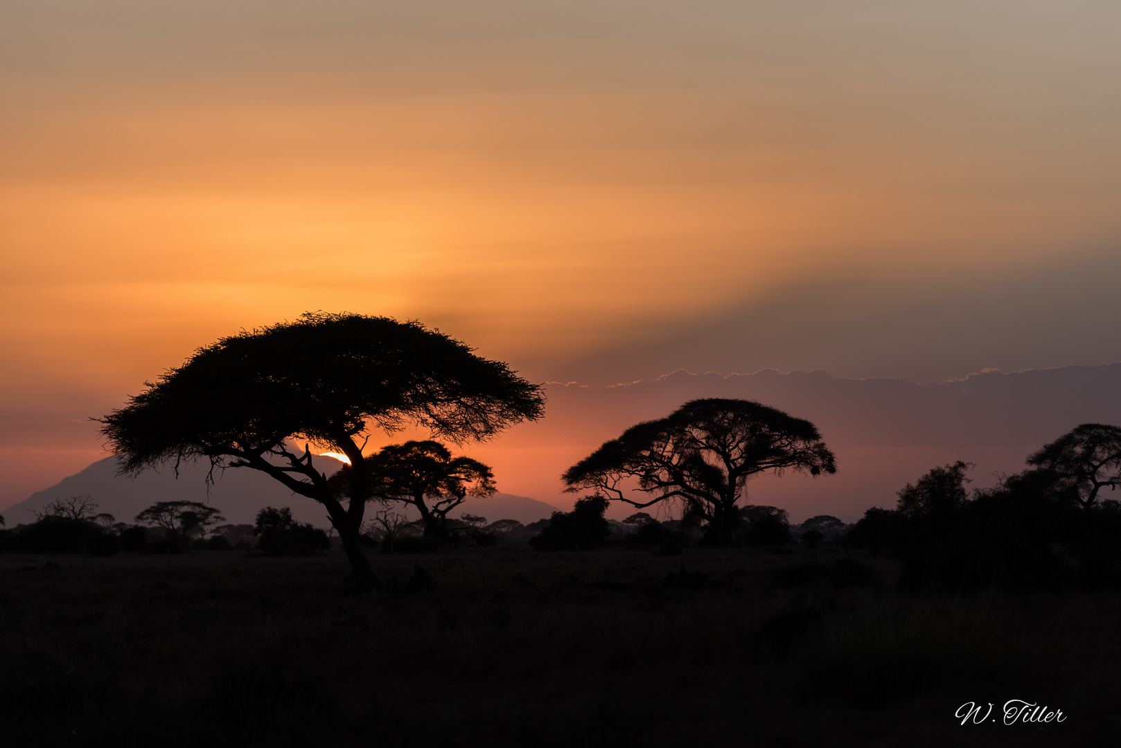 Sonnenuntergang im Amboseli