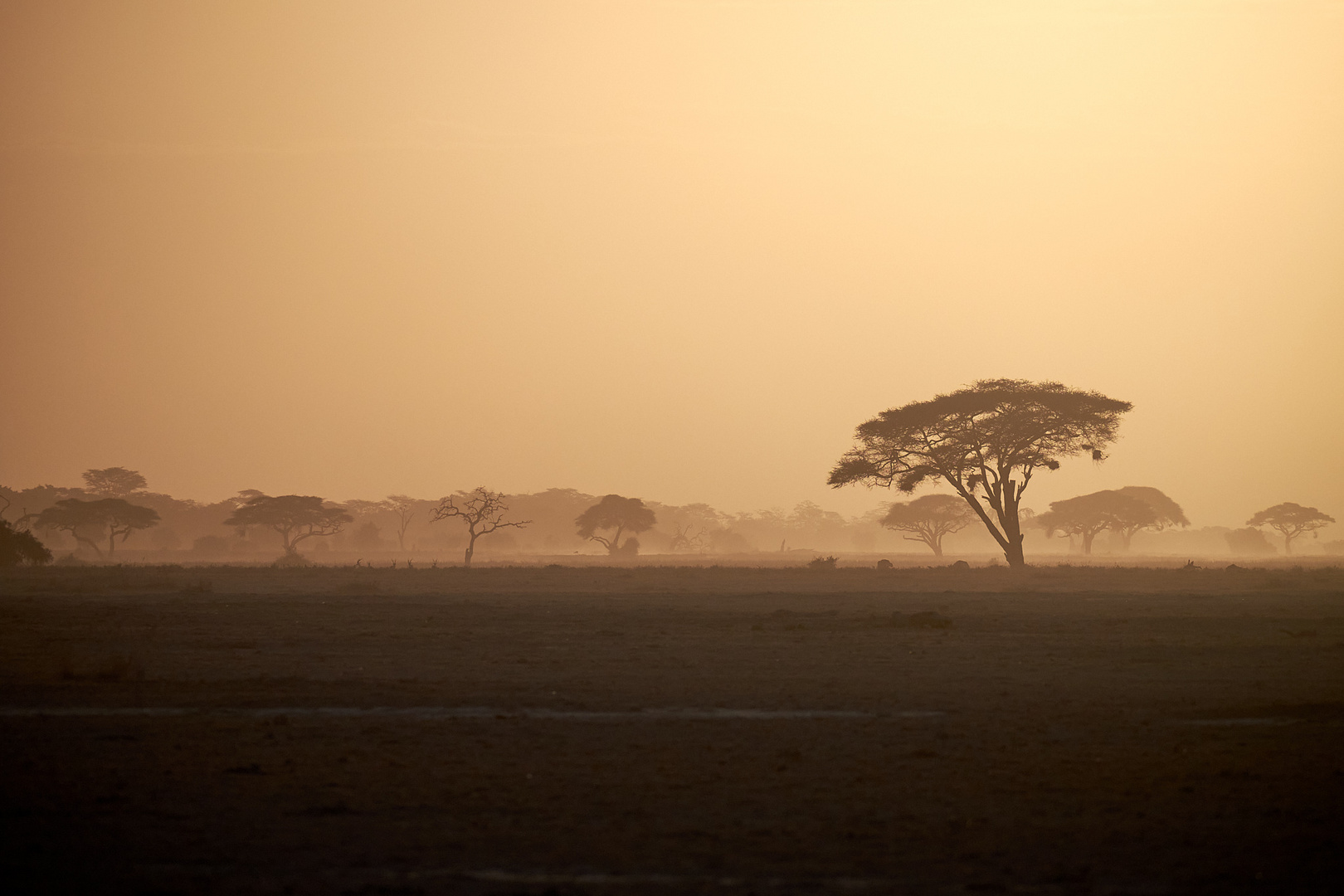 Sonnenuntergang im Amboseli 