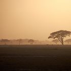 Sonnenuntergang im Amboseli 