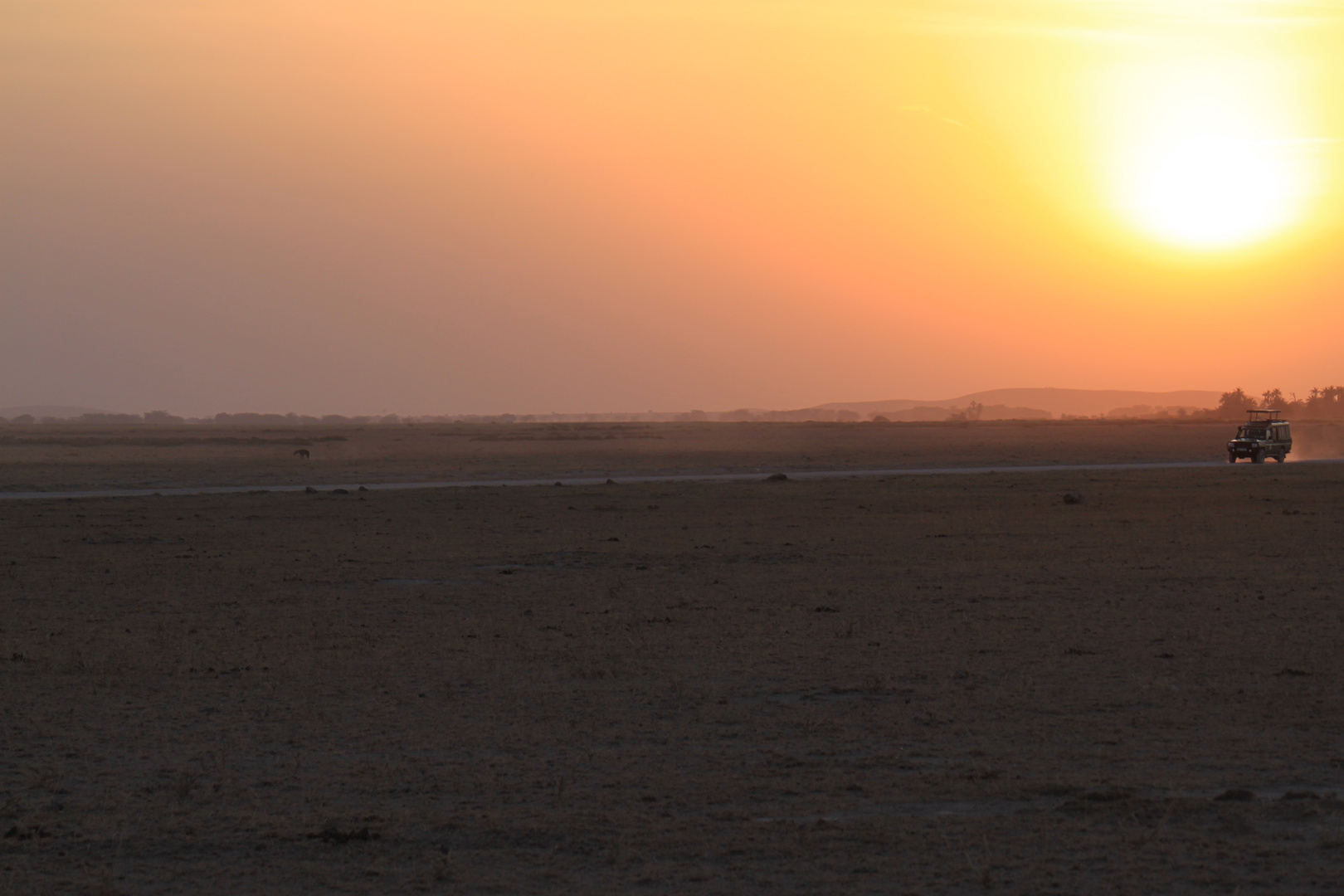 Sonnenuntergang im Amboseli Nationalpark, Kenia