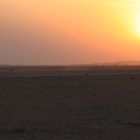 Sonnenuntergang im Amboseli Nationalpark, Kenia