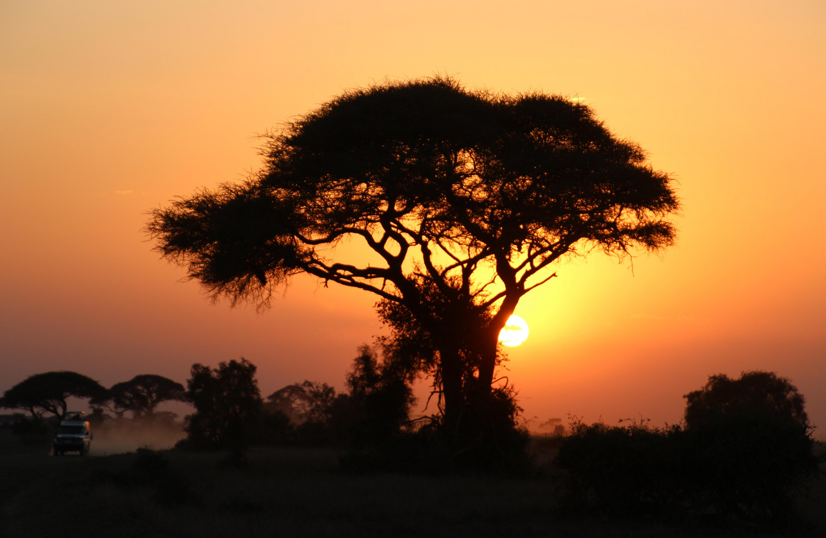 Sonnenuntergang im Amboseli Nationalpark Kenia