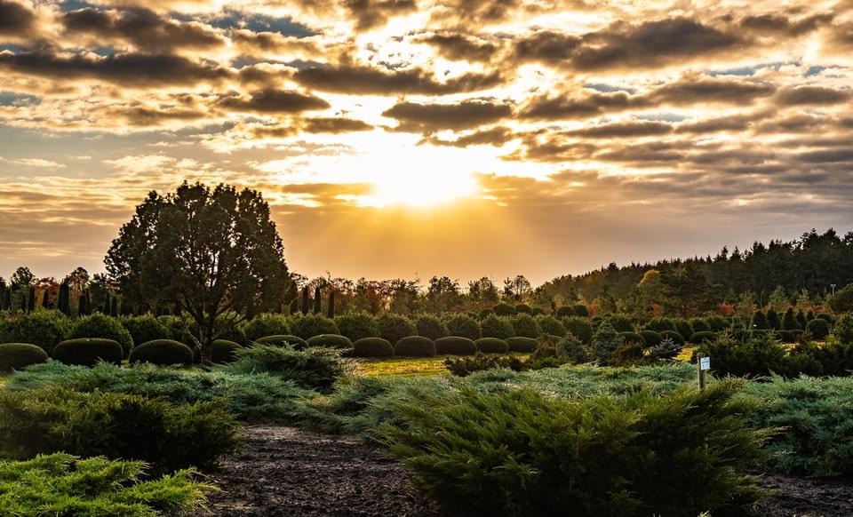 Sonnenuntergang im Ammerland 