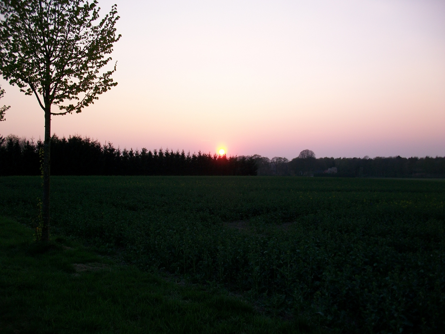 Sonnenuntergang im April 2011