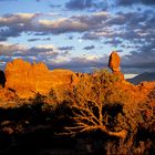 Sonnenuntergang im Arches NP