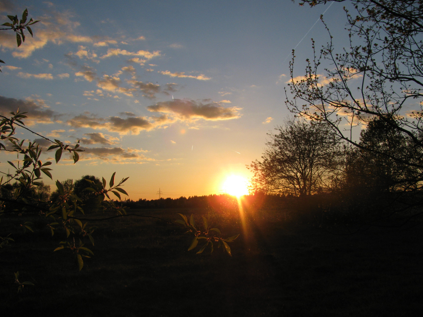 Sonnenuntergang im Augenwald