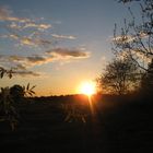 Sonnenuntergang im Augenwald