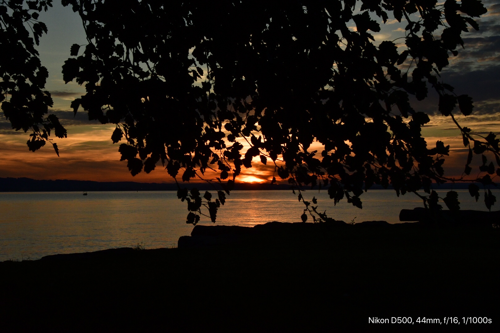 Sonnenuntergang im August 2020