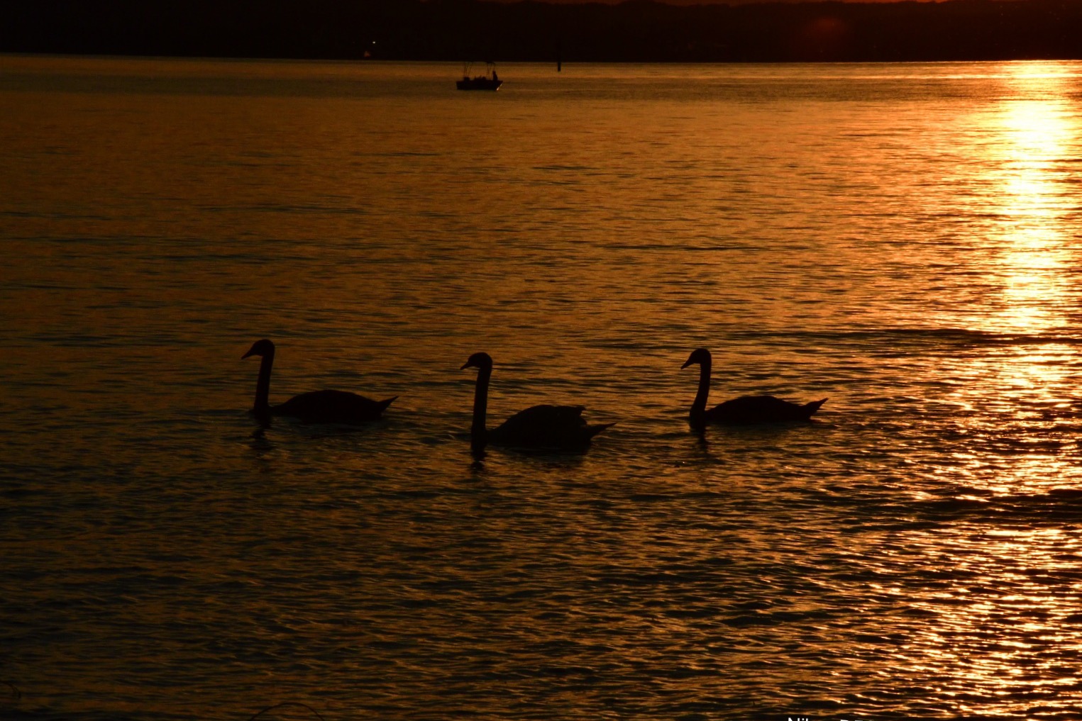 Sonnenuntergang im August 2020