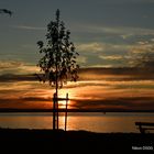 Sonnenuntergang im August 2020