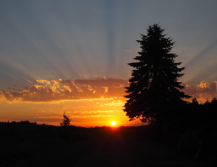 Sonnenuntergang im August