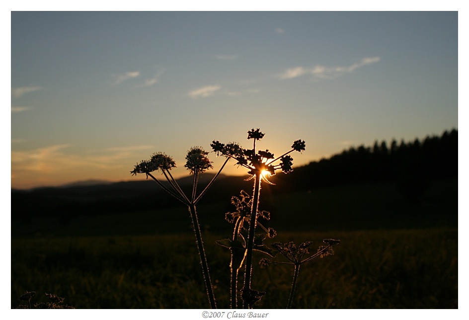 Sonnenuntergang im Bayerischen Wald