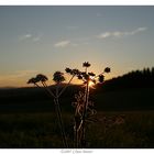 Sonnenuntergang im Bayerischen Wald