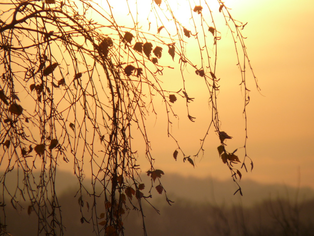 Sonnenuntergang im "Bergischen Land"