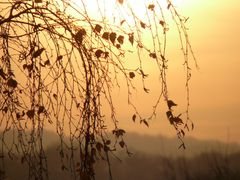 Sonnenuntergang im "Bergischen Land"