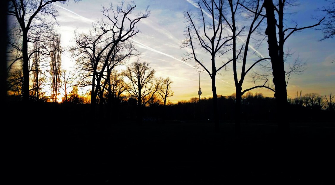 Sonnenuntergang im Berliner Park