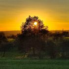 Sonnenuntergang im Bliesgau