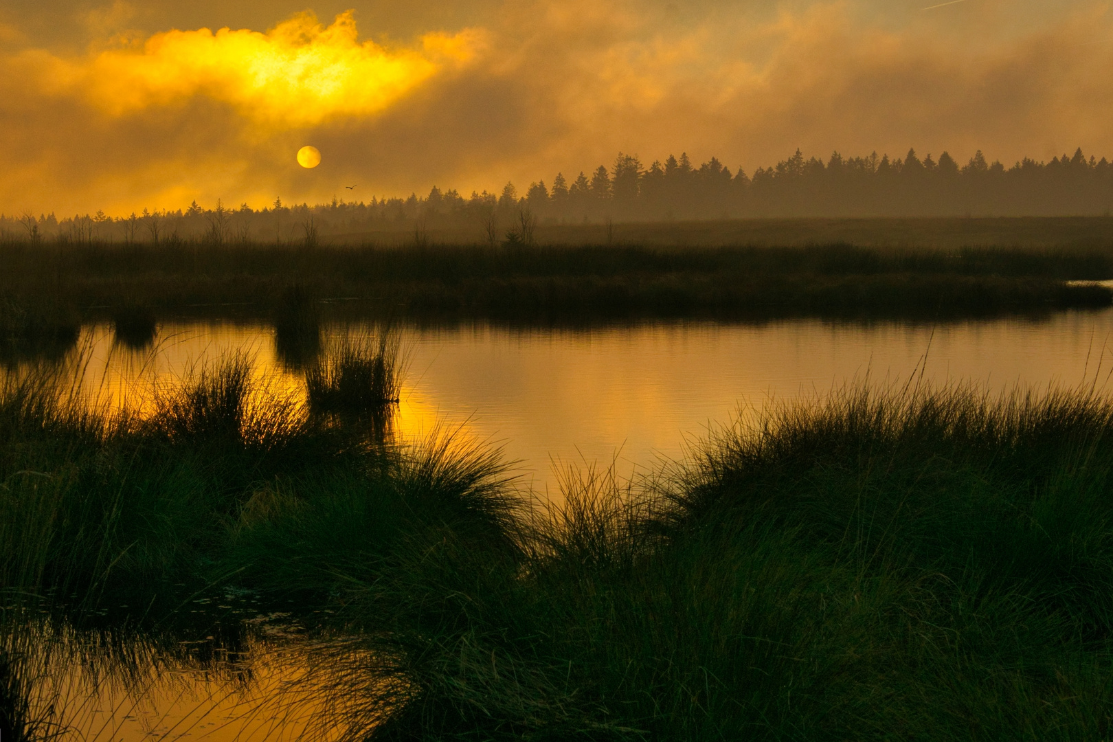 Sonnenuntergang im Brackvenn