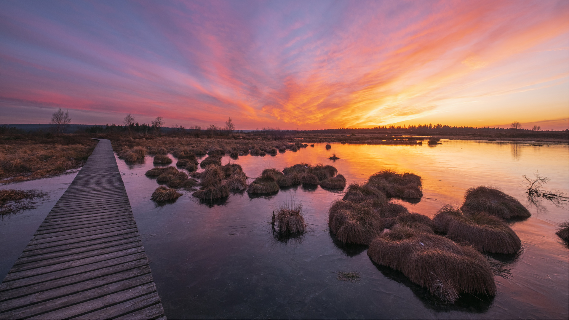 Sonnenuntergang im Brackvenn