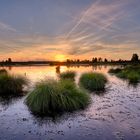 Sonnenuntergang im Brackvenn/ Hohes Venn