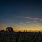 Sonnenuntergang im Breisgau