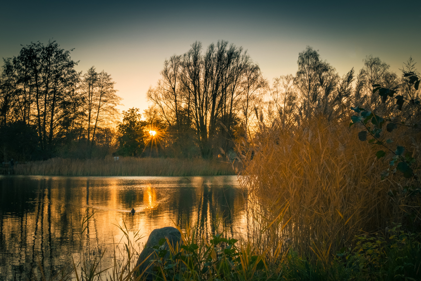 Sonnenuntergang im Britzer Garten Foto & Bild landschaft
