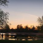 Sonnenuntergang im Britzer Park