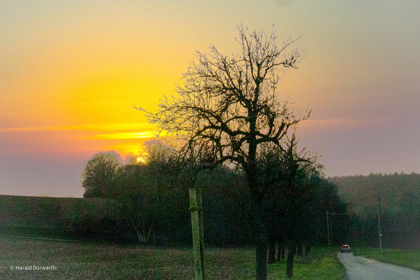 Sonnenuntergang im Bruch