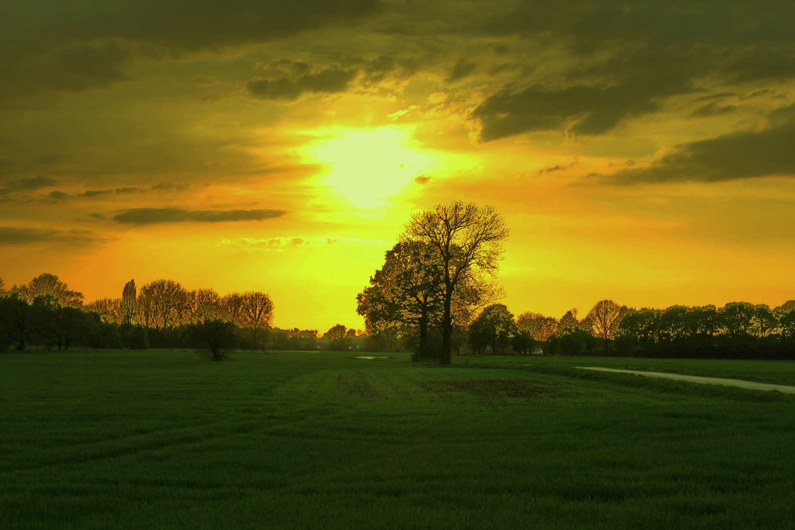 Sonnenuntergang im Bruch