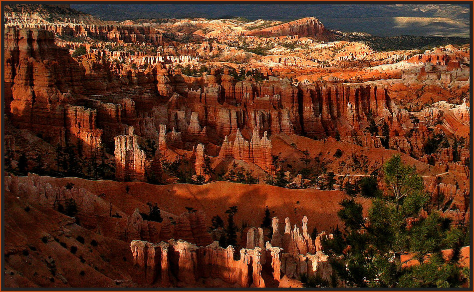 Sonnenuntergang im Bryce Canyon