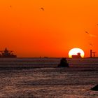 Sonnenuntergang im Calandkanaal Rotterdam