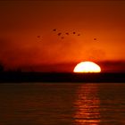 Sonnenuntergang im Caprivi