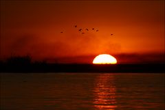 Sonnenuntergang im Caprivi