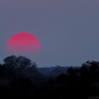 Sonnenuntergang im Caprivi