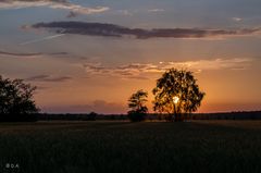 Sonnenuntergang im Celler Land