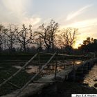 Sonnenuntergang im Chitwan-Nationalpark