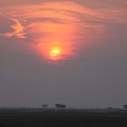 Sonnenuntergang im Chobe NP